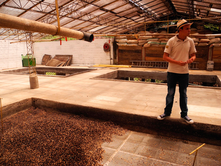 Кофейная плантация в Колумбии