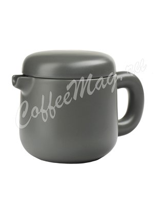 VIVA ISABELLA Чайник заварочный с ситечком 0.6 л (V76443) Темно-серый