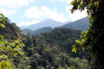 Turquino National Park (Sierra Maestra)