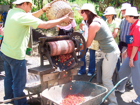 Кофе Коста-Рика как часть туризма