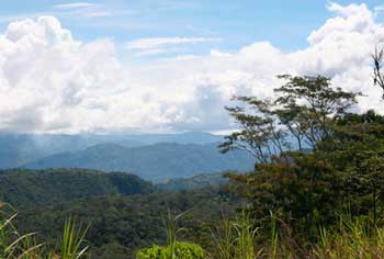 Papua New Guinea Coban