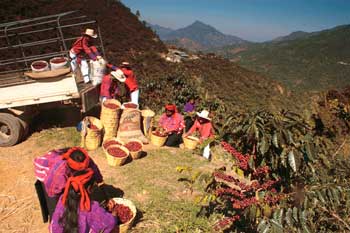 Guatemala Antigua Vulcane