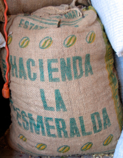 Кофе Hacienda La Esmeralda
