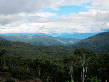 Peru Chanchamayo