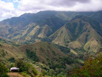 Indonesia Sulawesi Kalossie