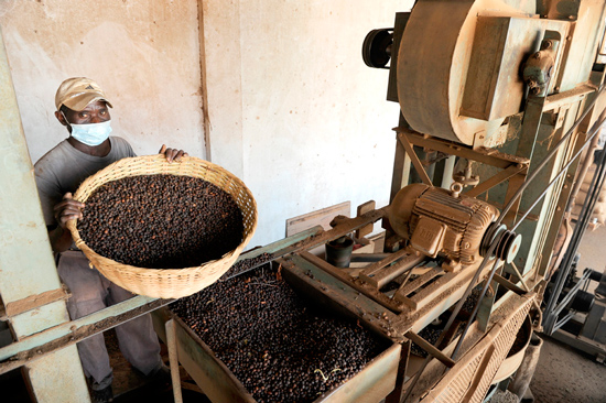 Кофейная промышленность Анголы