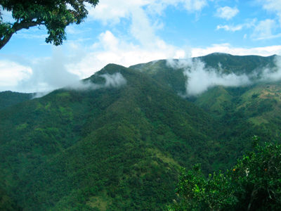 Плантационный кофе - Jamaica Blue Mountain