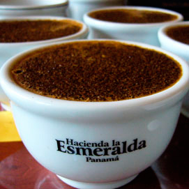 Hacienda La Esmeralda — самый «чистый» кофе