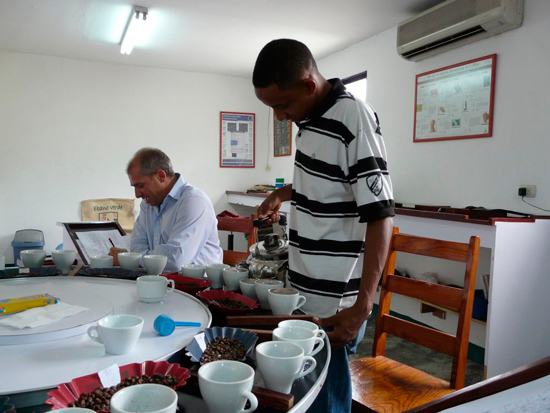 Доминиканская кофейная плантация Don Jiménez