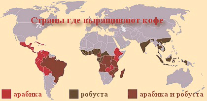 Страны выращивания кофе