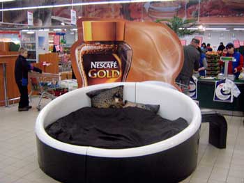 Кофе Nescafe