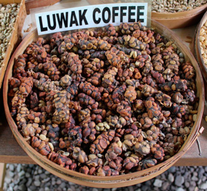 Kopi Luwak