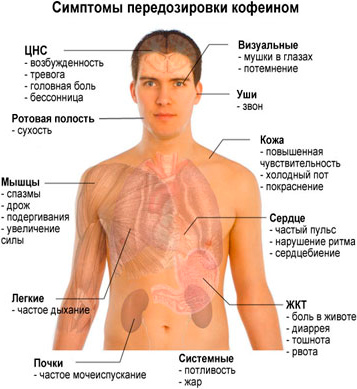 Симптомы передозировки кофеином