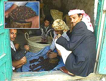 Йеменский кофе