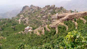 Yemen Mocca Mattari