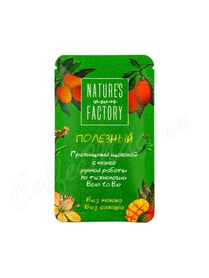 Nature`s own Factory Гречишный шоколад с манго 20 г