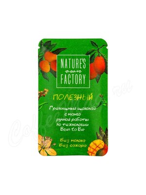 Nature`s own Factory Гречишный шоколад с манго, плитка 20г