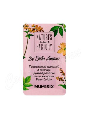 Nature`s own Factory Гречишный шоколад с матчей, плитка 20г