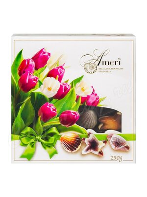 Ameri Весенний букет Шоколадные конфеты с начинкой пралине 250 г