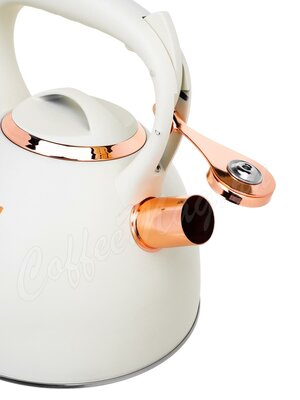 Чайник Zeidan со свистком, нержавеющая сталь 3 л (Z-4421)