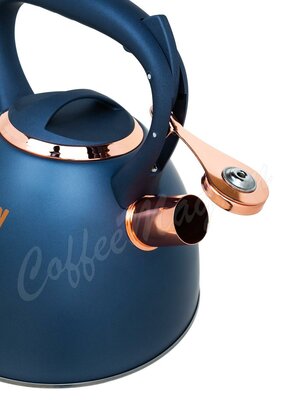 Чайник Zeidan со свистком, нержавеющая сталь 3 л (Z-4420)