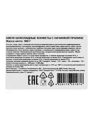 Ameri Шоколадные конфеты Пралине в новогоднем оформлении 500 г ж.б.