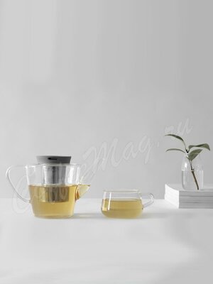 VIVA INFUSION Чайник стеклянный с ситечком 1 л (V27833) 